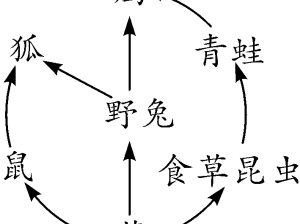 2020年陕西省初中学业水平考试生物选择题解析及答案详解