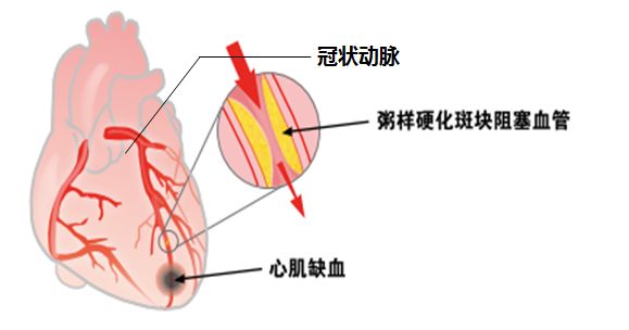 吵架病人医生怎么处理_吵架病人医生怎么说_医生和病人吵架