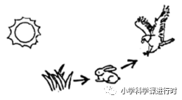 透镜和视觉2答案_透镜与视觉2_透镜和视觉教学视频第2课时