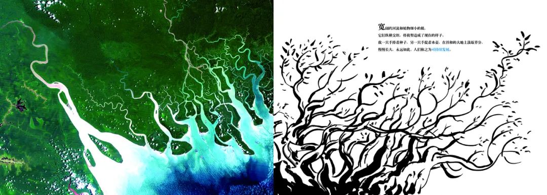 我的第一套动植物趣味百科地图_趣味地图动画_趣味地图手绘