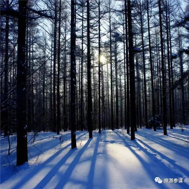 御龙温泉在哪_御龙温泉可以带吃的吗_御龙在天温泉免做